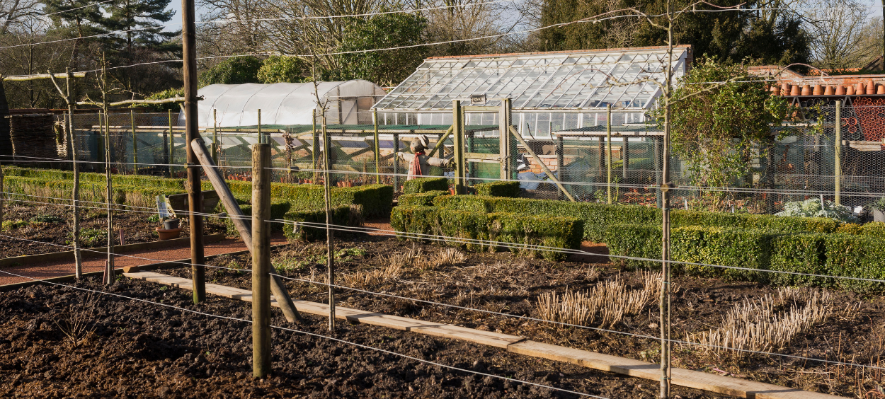 Abberton rural training community garden