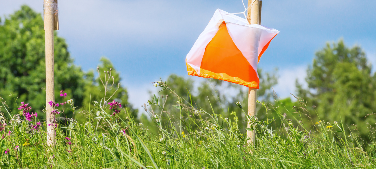 Orienteering